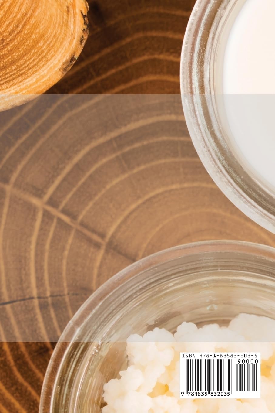HET ULTIEME GEÏNFUSEERDE KEFIR RECEPTBOEK