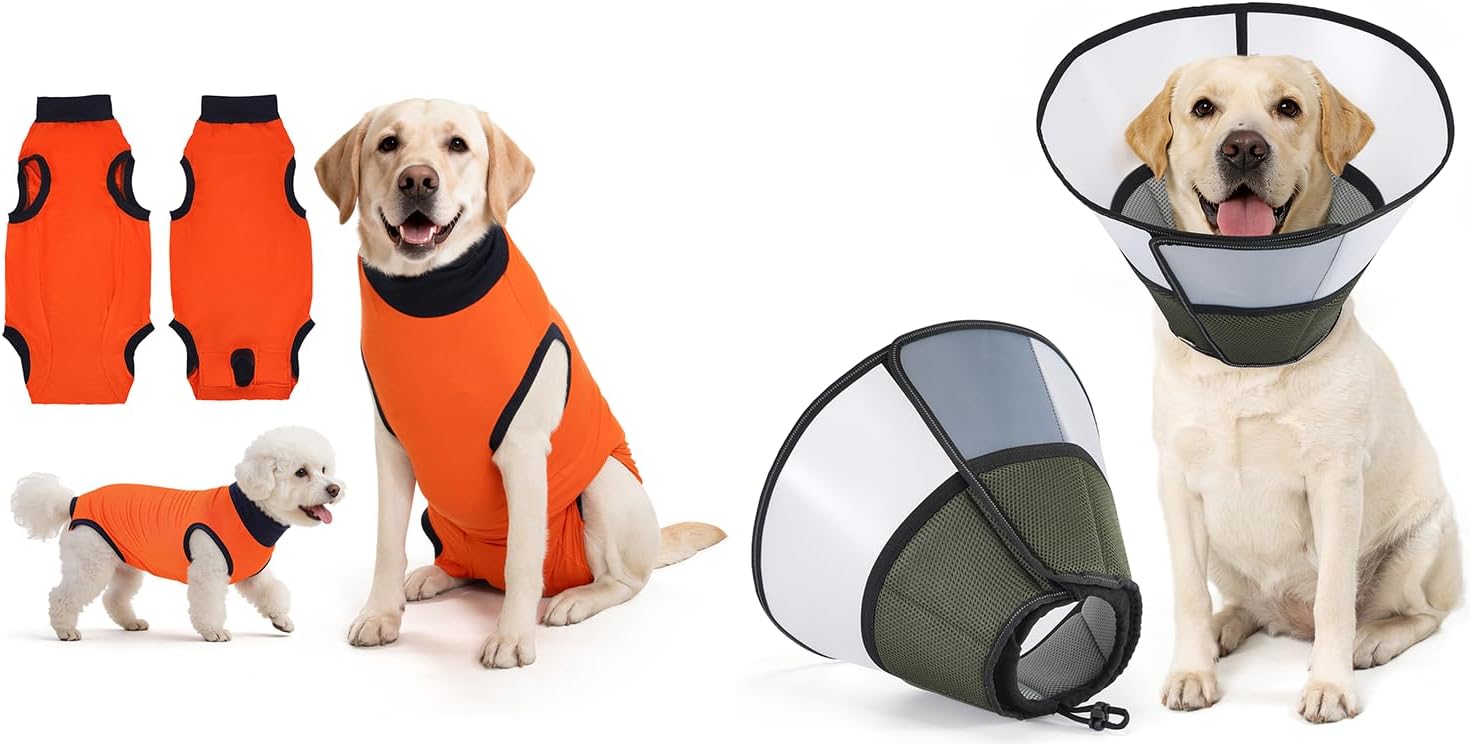 Avont Dog Surgery Recovery Suit Bundle with Dog Cone Collar After Surgery