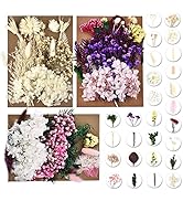 DALARAN 3 Pack Dried Pressed Flowers for Resin and Candle Making Multiple Natural Pressed Flowers...