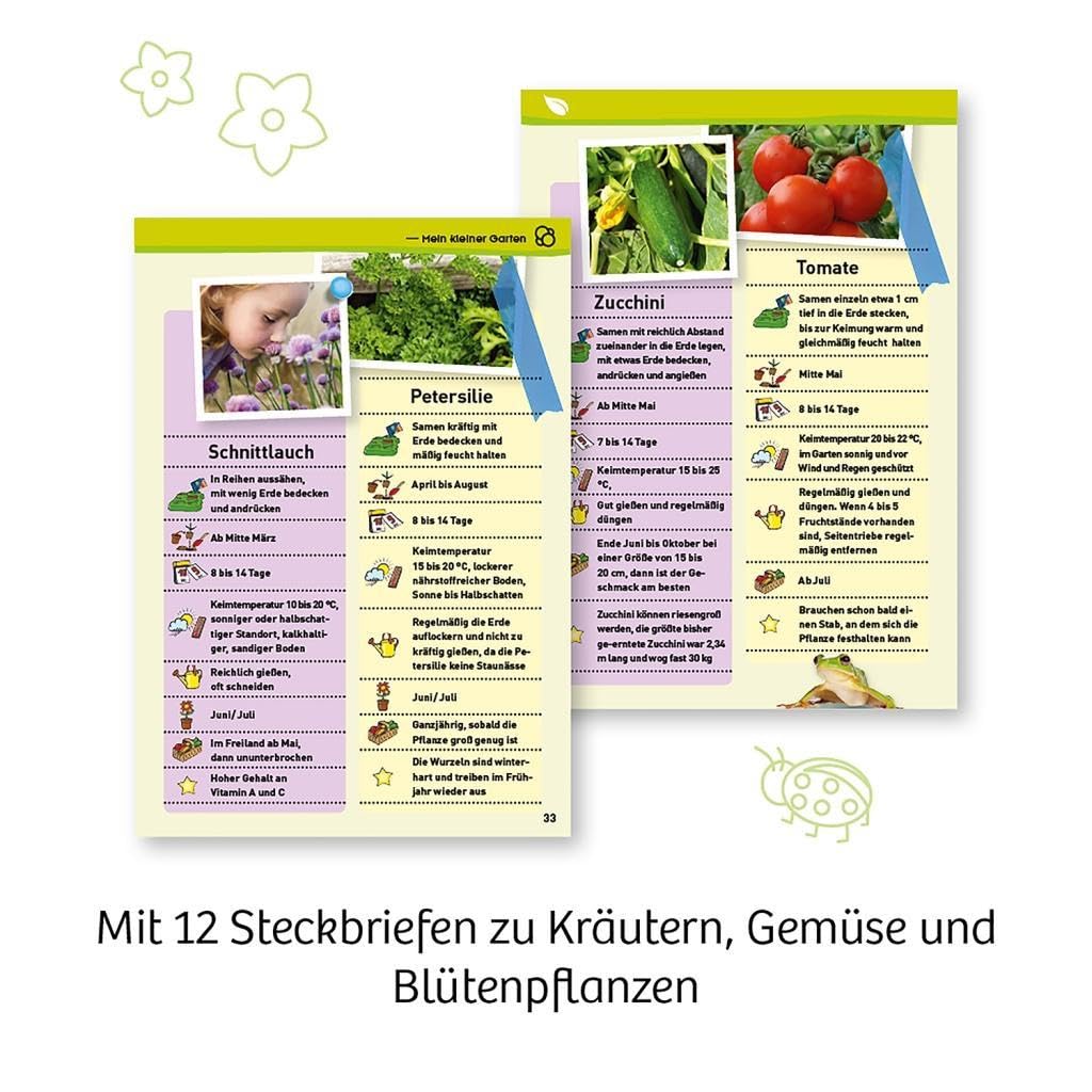 Mein erstes Gewächshaus: Experimentierkasten