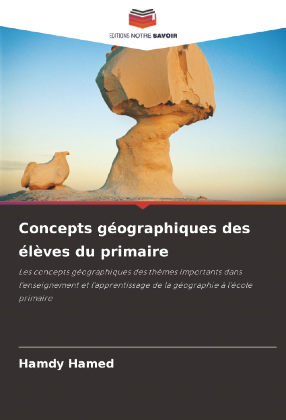 Concepts géographiques des élèves du primaire: Les concepts géographiques des thèmes importants dans l'enseignement et l'apprentissage de la géographie à l'école primaire