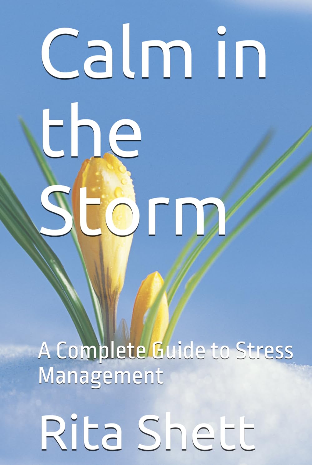 Calm in the Storm: A Complete Guide to Stress Management