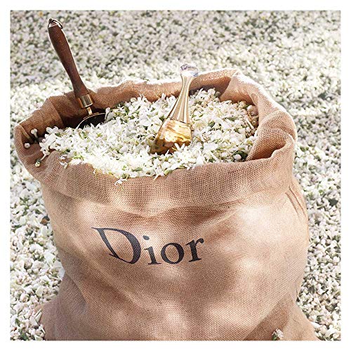 Dior J'adore Eau de Parfum Spray