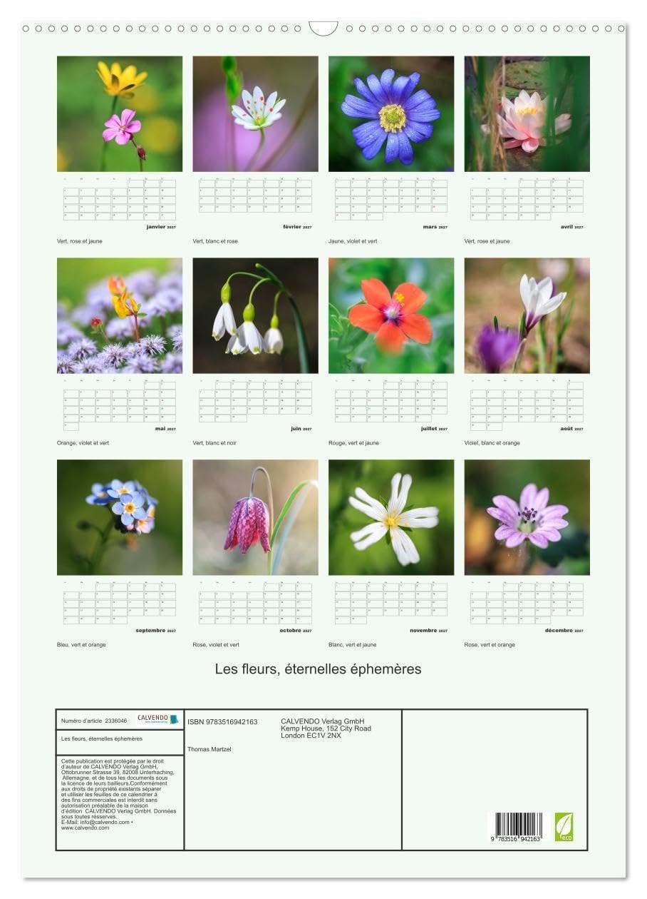 Les fleurs, éternelles éphemères (Calendrier mural 2027 DIN A2 horizontal), CALVENDO calendrier mensuel: Un calendrier poétique qui capture, mois ... fleurs dans toute leur splendeur éphémère.