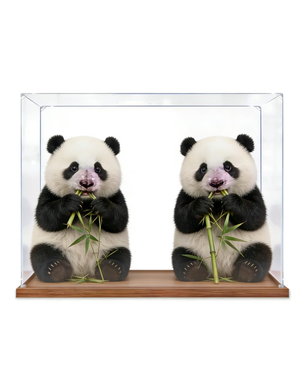 QWORK® 4 stück acryl-displaybox, transparente box, 10 x 10 x 10 cm, aufbewahrungsbox mit deckel