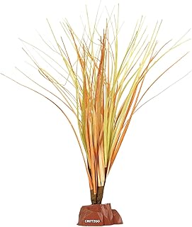 Troubleshooting Python: Turtle Module Not Found | PetShun