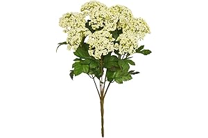 Artificial Faux Queen Anne's Lace Flowers Stems, 9 Heads 15.75in Cream