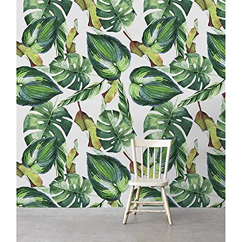 Papier peint palm feuille résumé pour masquer les imperfections du mur - 2