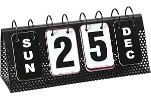 Metallic Daily Calendar