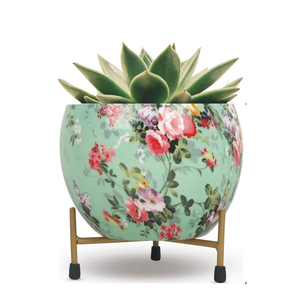 STAND MASTER Designer Metal Plant Pot with Rust Free Metal Stand Table top Design Planters Indoor and Outdoor Planters (Aqua) (B0CWFHNHLK) Amazon Price History, Amazon Price Tracker