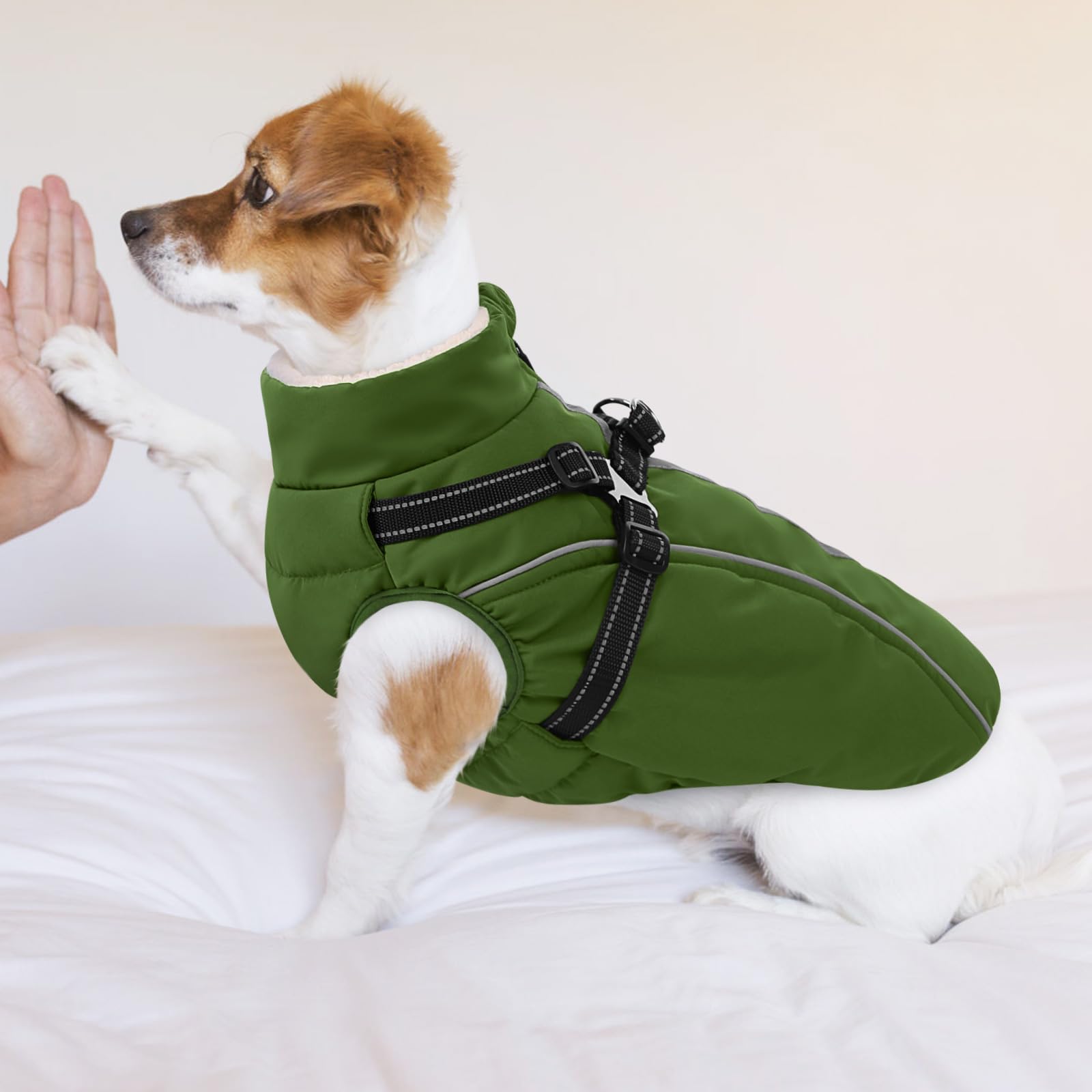 CITÉTOILE Cappotto Invernale per Cani Impermeabile - Giacca Termica Antivento con Foro Riflettente e Anello D, Adatto a Taglie Piccole/Medie/Grandi, Verde, XXL