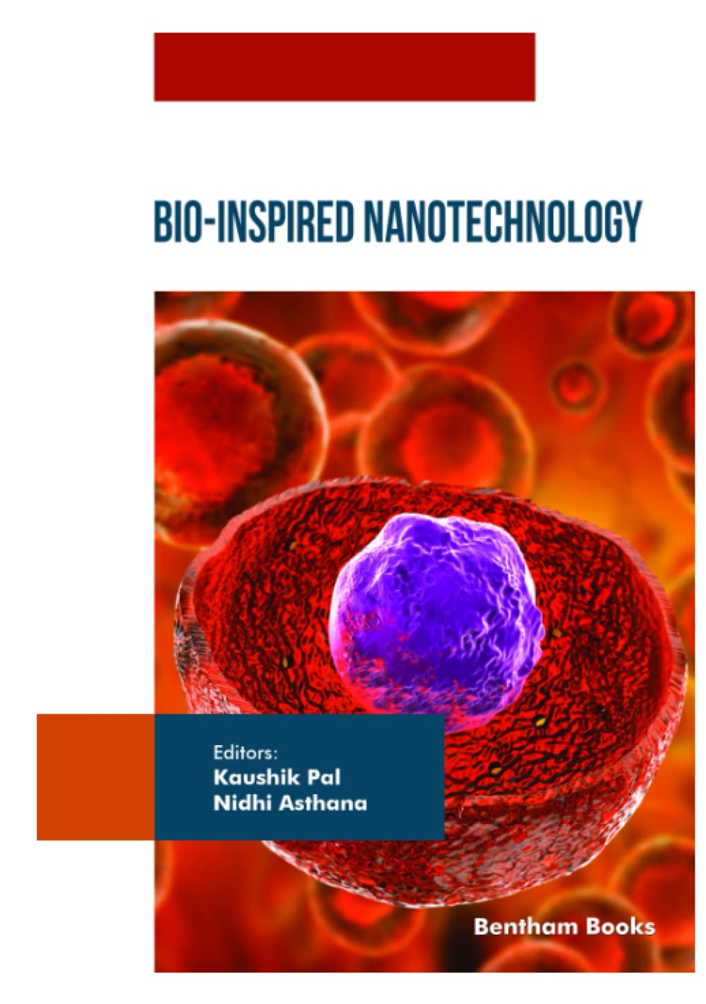 Amazon Bio Inspired Nanotechnology 9789815080186 Pal Kaushik