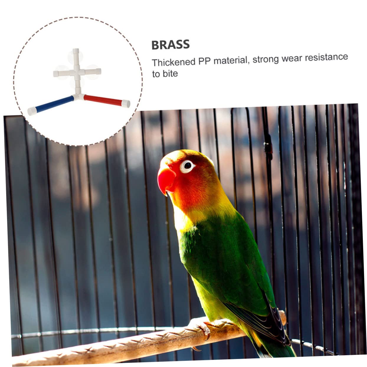 Mipcase 2juegos Soporte De Baño para Aves Juguete Divertido Estante para Periquitos Juguete De Entrenamiento para Aves Diseño Multiusos para Periquitos y Loros
