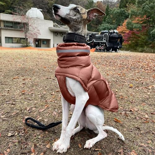 Combinaison de neige pour froid intense protégeant les grands chiens en extérieur - 6