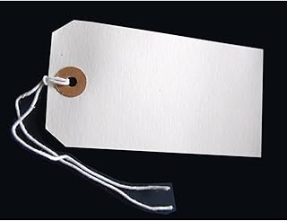 250 etichette grandi per bagagli, colore bianco, rinforzato, 120 x 60 mm