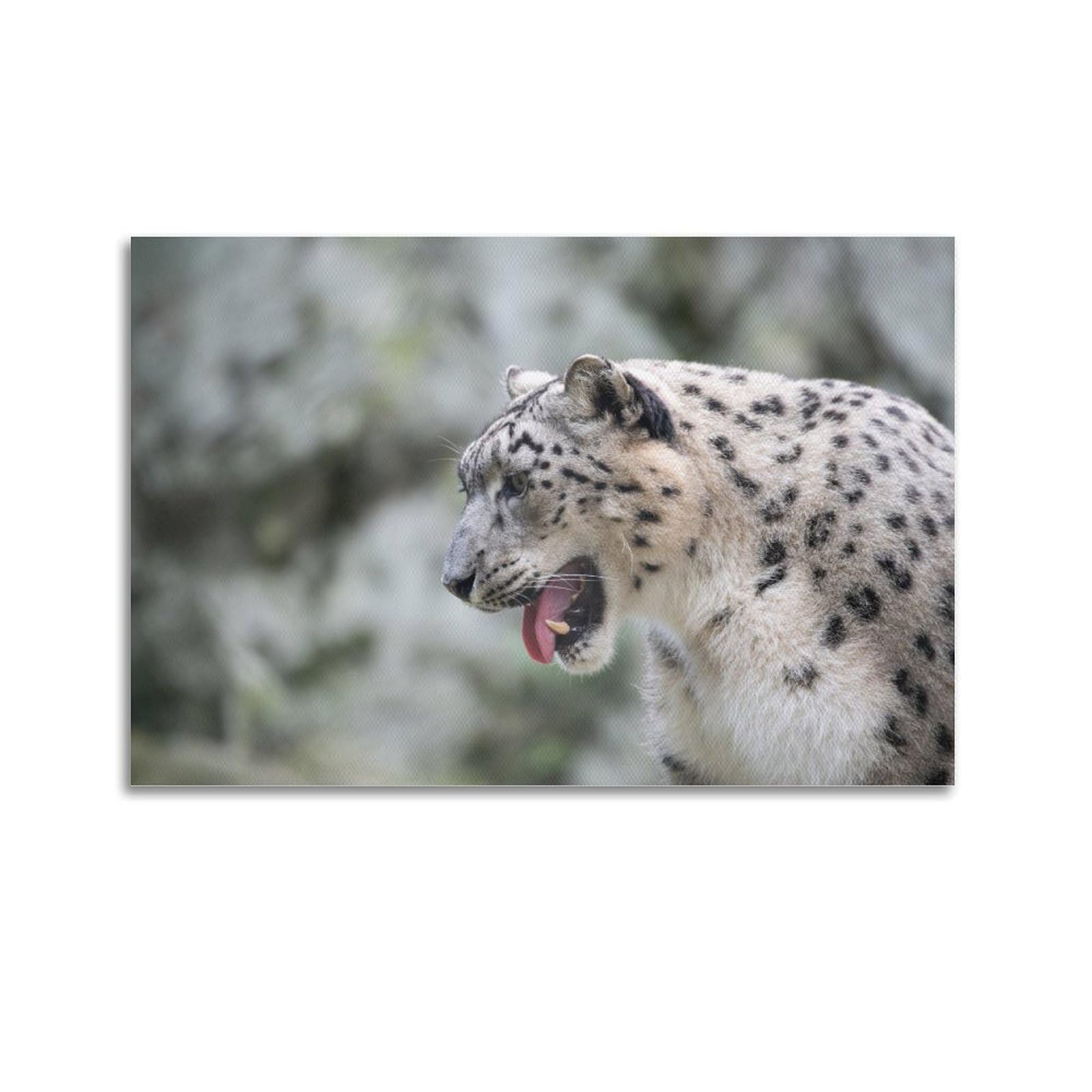JTLFXY Animal Poster Snow Leopard Poster Decorative Painting Canvas Wall Posters And Art Picture Print Modern Family Bedroom Decor Posters 20x30inch(50x75cm)
