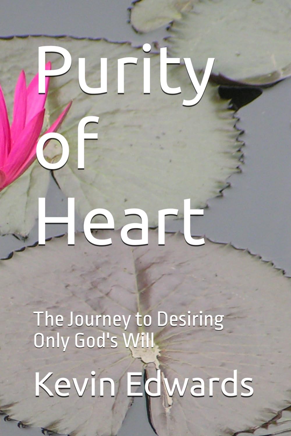 Purity of Heart: The Journey to Desiring Only God's Will