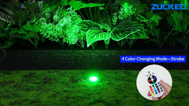 ZUCKEO RGB Low Voltage Landscape Lights LED Color Changing Well
