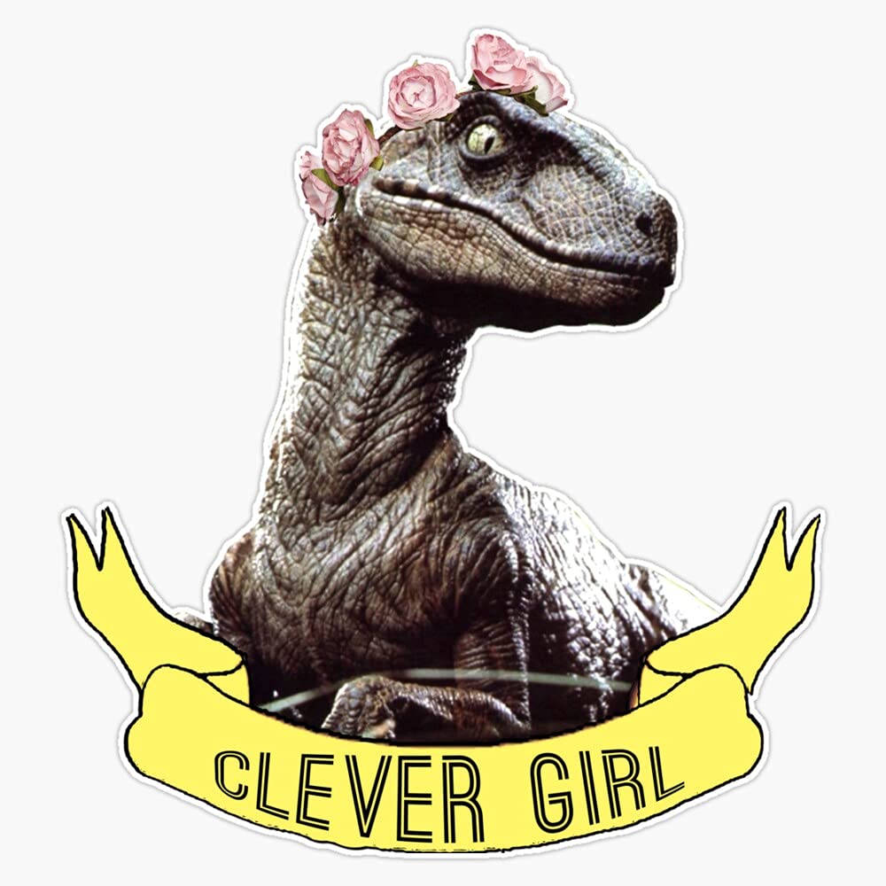 JB Print Clever Girl Vinyl Decal Sticker Car Waterproof Car Decal Bumper Sticker 5"