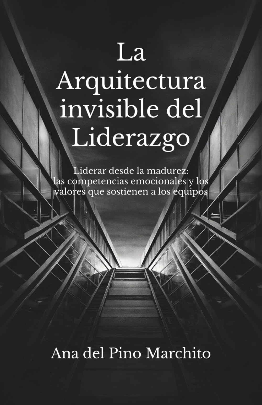 La Arquitectura Invisible del Liderazgo: Liderar desde la madurez: las competencias emocionales y los valores que sostienen a los equipos