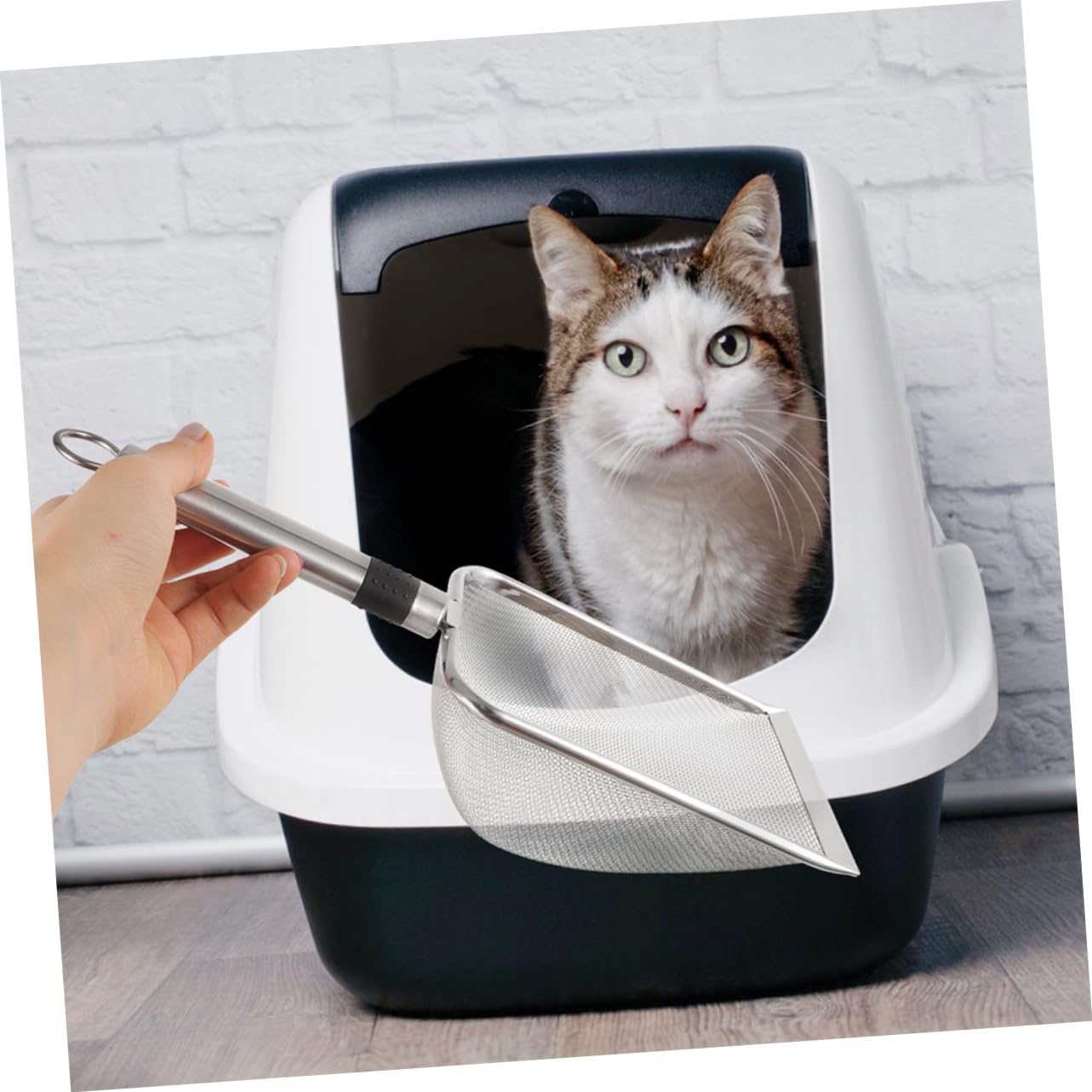 Cat Litter Scoop De Inoxidable para Reptiles y Mascotas para Limpieza Sustratos Diseño De Malla Filtrante Herramienta Reutilizable para Uso Doméstico