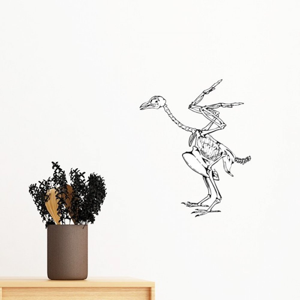 Papier peint DIY squelette d'autruche amovible 40cm autocollant mural art