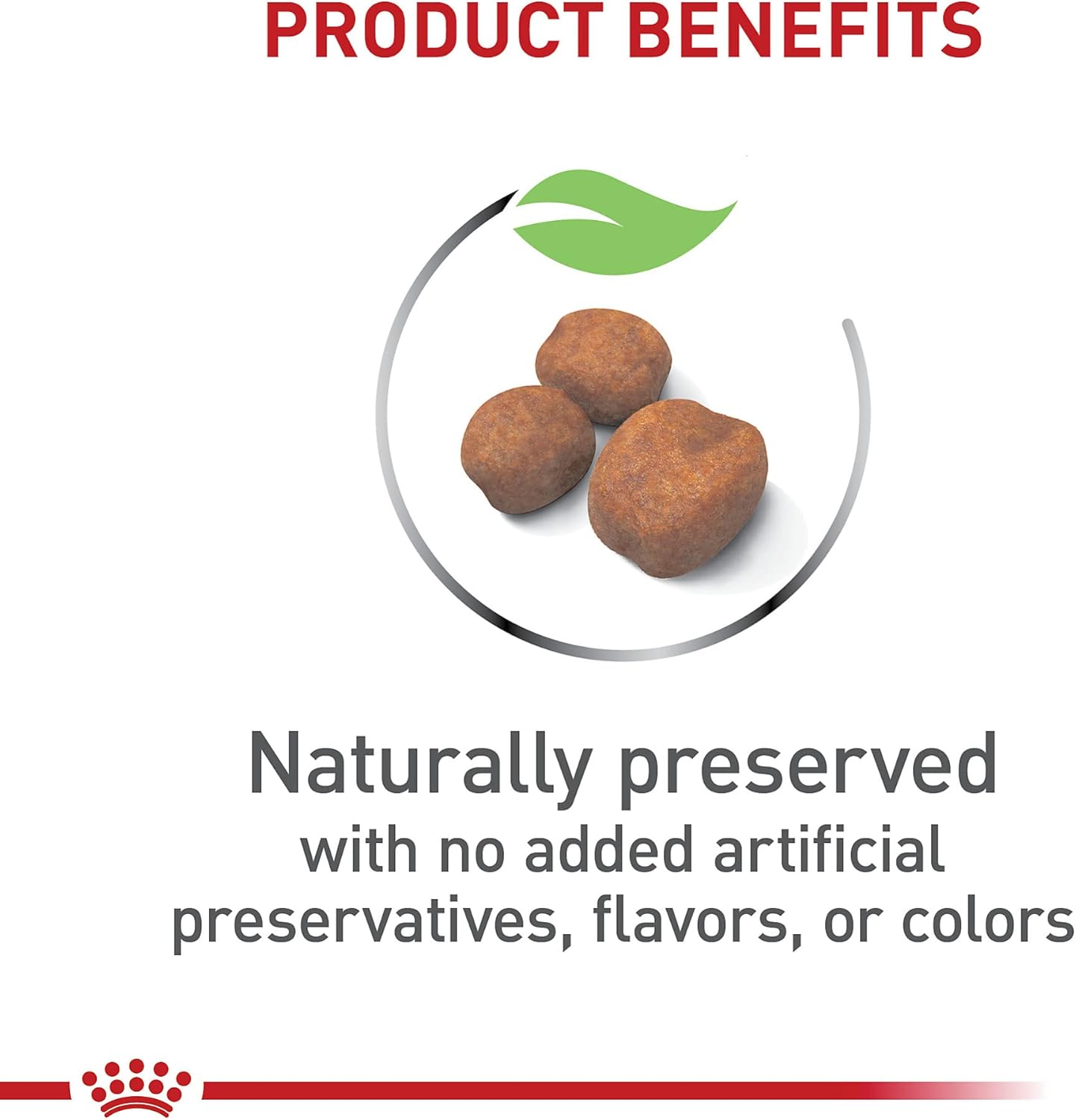 Royal Canin Giant Puppy Dry Dog Food, 6 lb bag