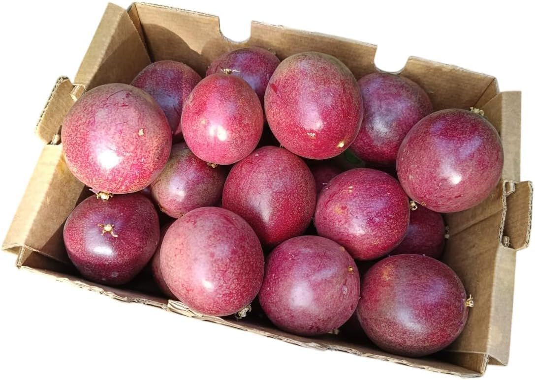 Vitalem – Frische Maracuja 1.5 kg (12–20 Stück) | Passionsfrucht | 100% natürliche & nachhaltige Tropenfrucht | Lokaler Anbau in Málaga | Ideal für Smoothies, Shakes und Joghurt