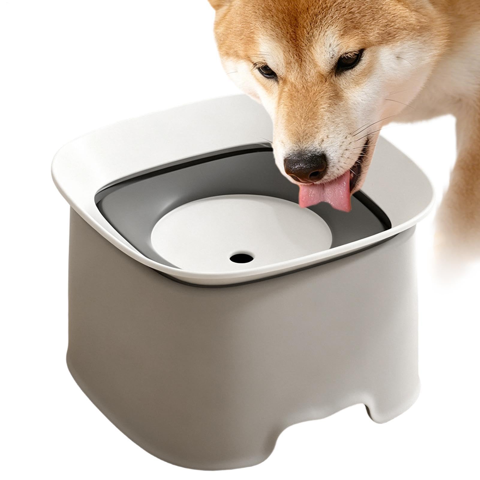 Gamelle d'eau pour chien anti-éclaboussures et distributeur de boisson pour maison