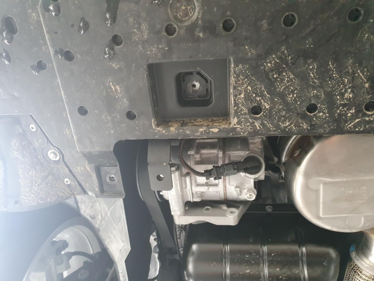 Protezione motore in metallo compatibile con Peugeot 208.