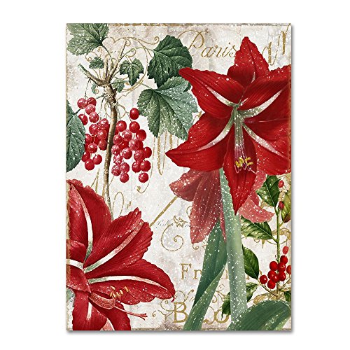 Amaryllis by Color Bakery, 14x19-Inch Canvas Wall Art