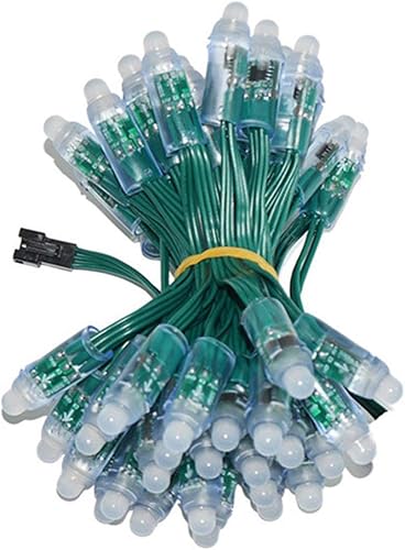 Set de 5 luces LED individuales direccionables de WESIRI WS2811 para módulo de píxeles impermeabilidad IP68