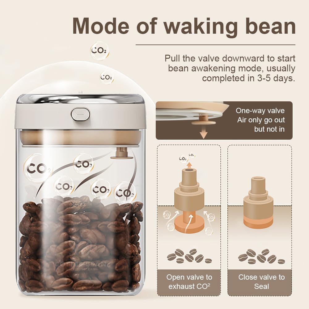 IRCtek Contenitore per chicchi di caffè con valvola unidirezionale, coperchio ermetico, datario, per caffè e altri alimenti freschi e conservati, in vetro borosilicato trasparente (371,4 g)