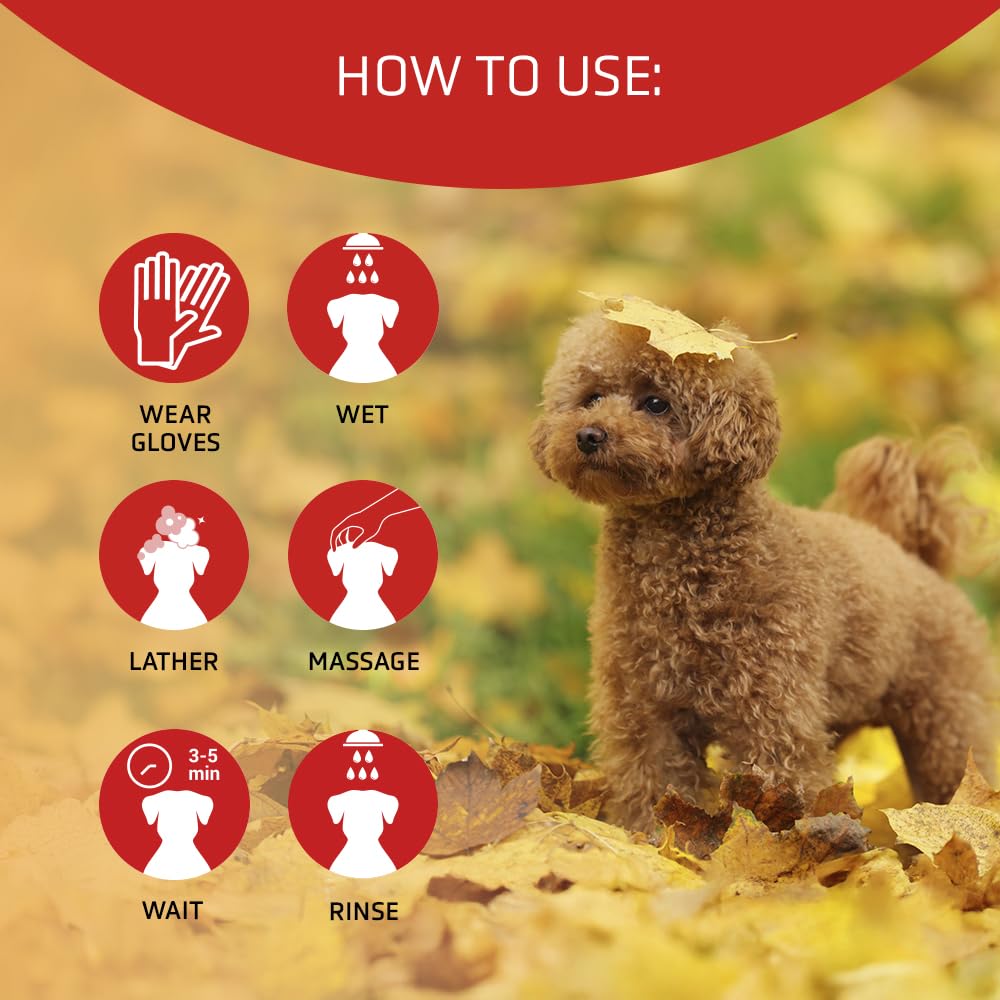 Pack Caniche Rojo. Champú 650 ml y Mascarilla 650 ml