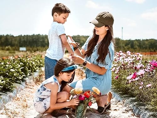 Babo Botanicals Baby Skin Mineral Sunscreen Spray SPF 30 with 100% Zinc Oxide Active, Water-Resistant, Unscented, 6 Fl Oz