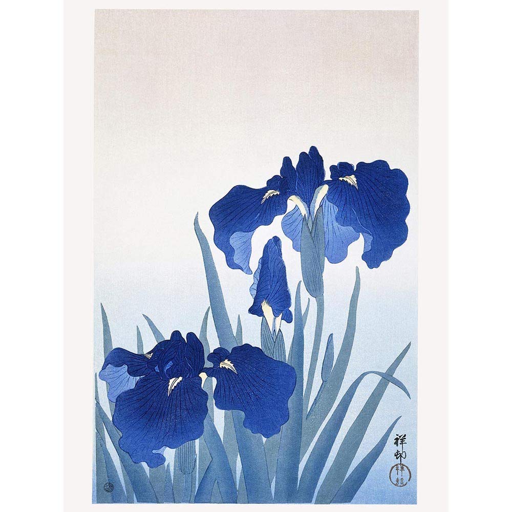 Wee Blue Coo Iris Flowers Ohara Koson Art Print Poster Wall Decor 12X16 Inch