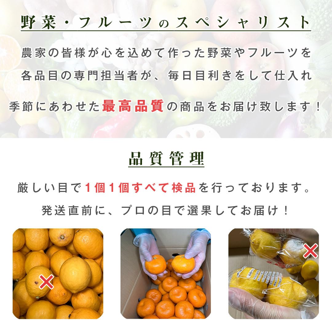 茨城県産紅はるかL30キロシルク5キロ計35キロ YU品 さつまいも 5kg 紅はるか 茨城県産 30～35本前後 Sサイズ 甘い DX