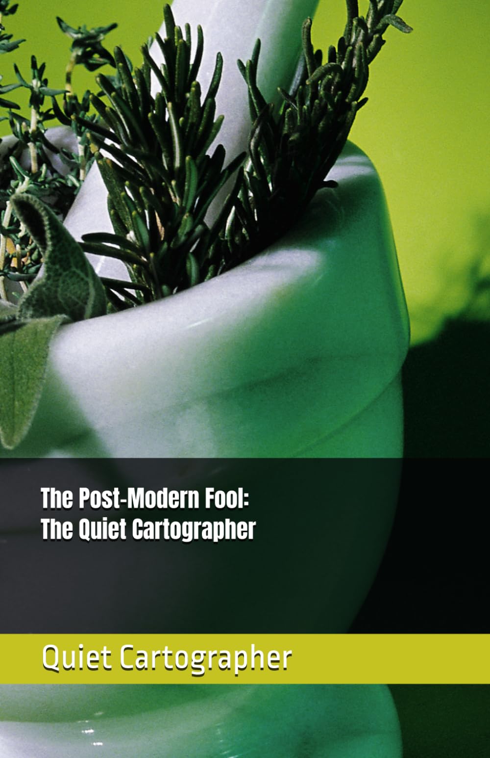 The Post-Modern Fool: The Quiet Cartographer (The Quiet Cartographer Poetry)