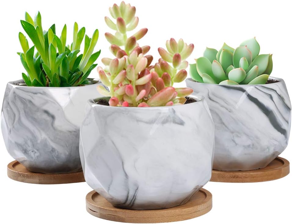 SQOWL 3.2 inch Marble Ceramic Succulent Planter Pot Modern Cute Small Cactus Herb Flower Planters with Bamboo Tray Set of 3