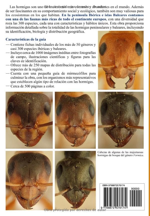 Hormigas de la péninsule Ibérique livre guide identification