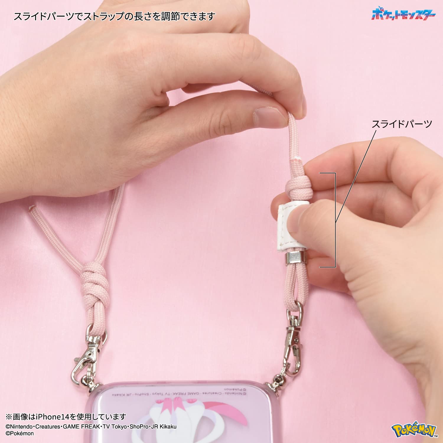Amazon.co.jp: グルマンディーズ(Gourmandise) ポケットモンスター