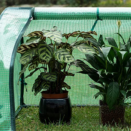 Relaxdays Gewächshaus auf Rollen 130 x 70 x 48 cm HxBxT, 3 Etagen Foliengewächshaus f. Balkon m. PE-Gitterfolie, grün 4 Relaxdays Gewächshaus auf Rollen 130 x 70 x 48 cm HxBxT, 3 Etagen Foliengewächshaus f. Balkon m. PE-Gitterfolie, grün – Bild 4