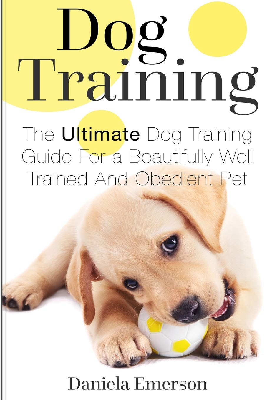 Why Does It Cost So Much To Train A Guide Dog