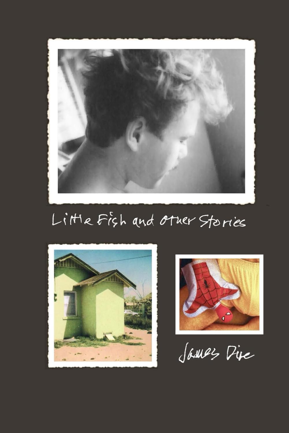 Little Fish and Other Stories: Literary fiction of true gay life in modern western America