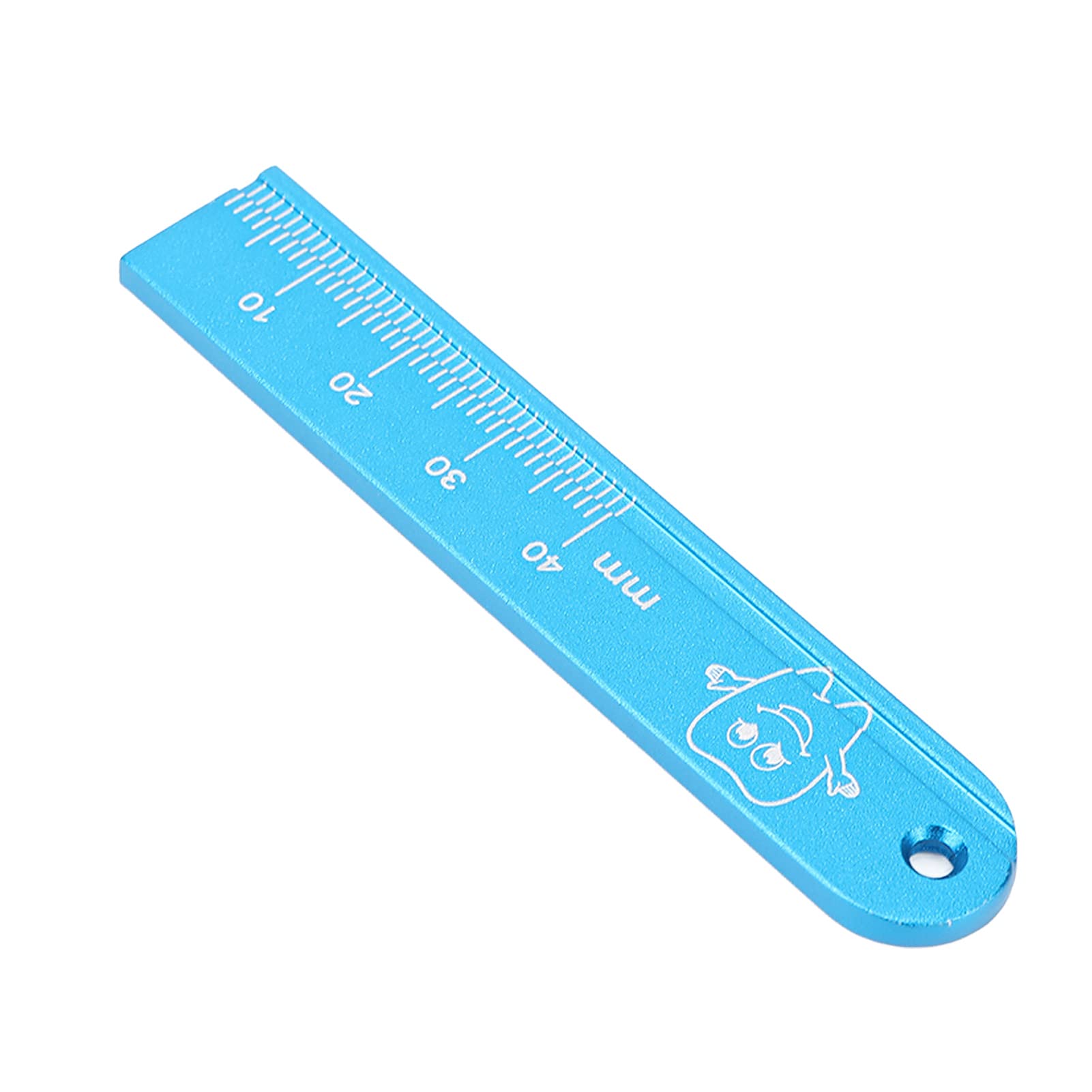 Endodontic Measure Instruments, Endo Ruler Clear Scale for Dentists for Dental Clinic