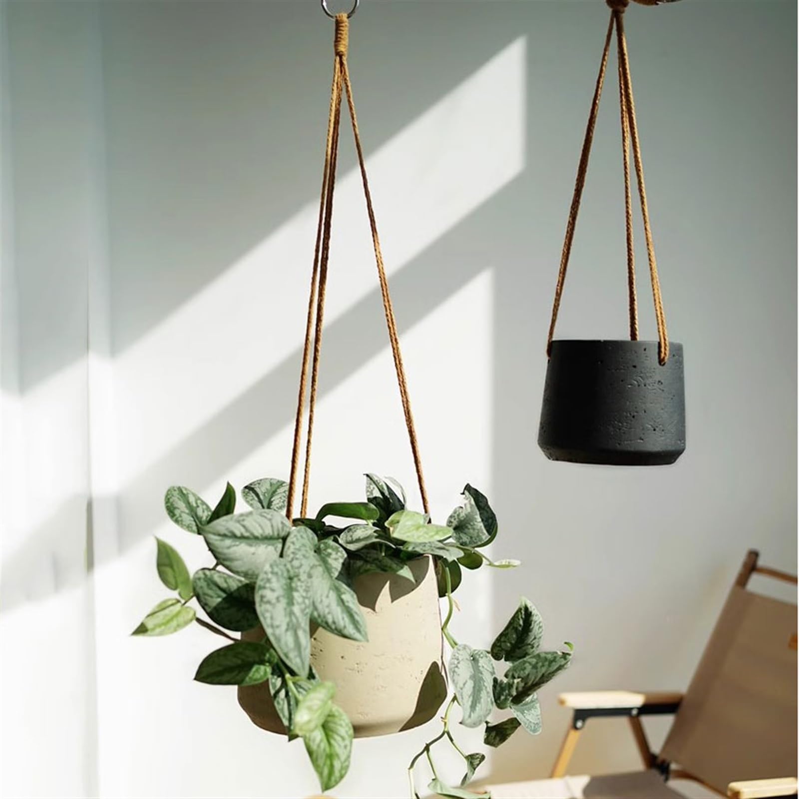 macetas para plantas Fioriera sospesa a parete Piccola pianta Cesto sospeso for balcone Orchidea per Casa Giardino(Nero,Piccolo)