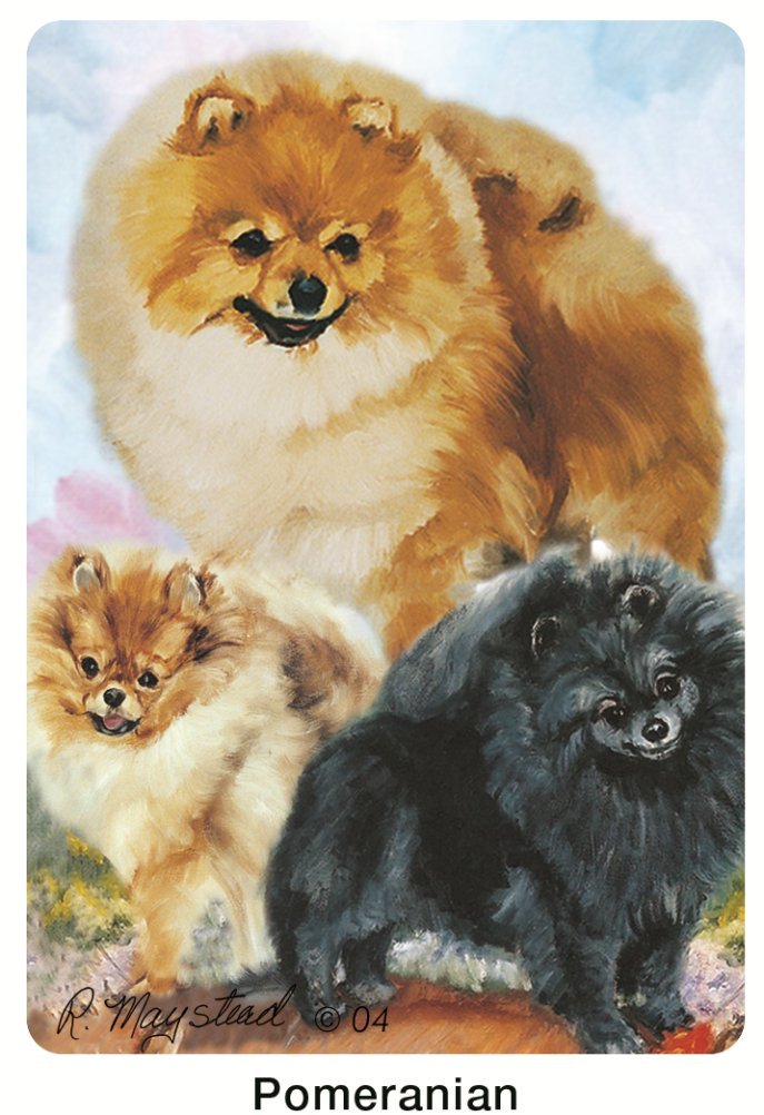 Amazon.co.jp: ポメラニアン犬 – Pom – Ruth 's Poker Set by Best