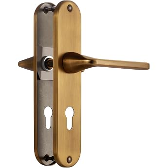 Door Handle Antique Brass Door Handle Set Matte Brushed Stainless Steel 72 mm PZ Centres Door Handle Set for Front Door and Interior Door PZ Profile Cylinder L-Shape