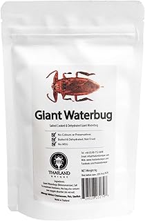 Amazon Co Jp 昆虫食