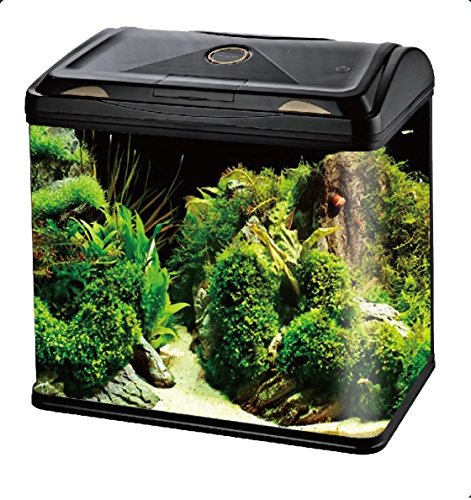 Image of RS Electrical Glass Aquarium Tank RS-600EL with LED Lights, Filtration Included. (Random Colour as per Availability)